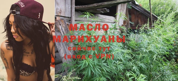 молекула духа Арсеньев