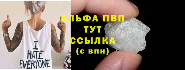 молекула духа Арсеньев