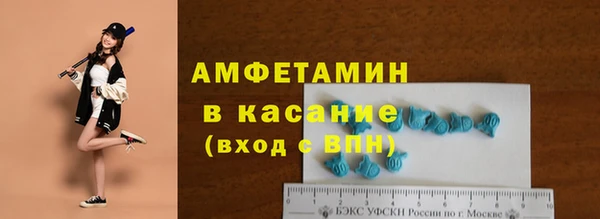 молекула духа Арсеньев