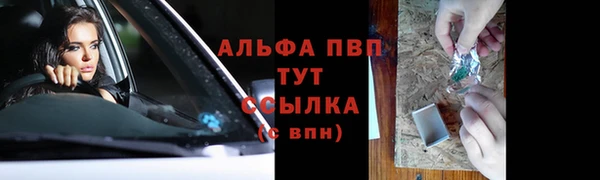 молекула духа Арсеньев