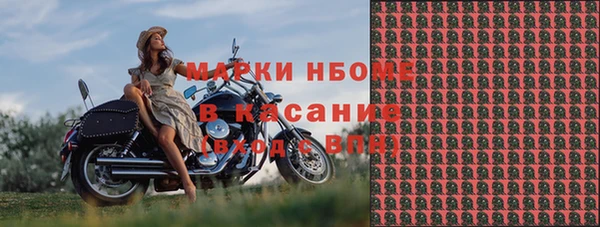 молекула духа Арсеньев
