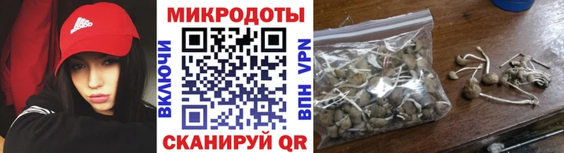 Псилоцибиновые грибы Psilocybe  Купить  Ялта 